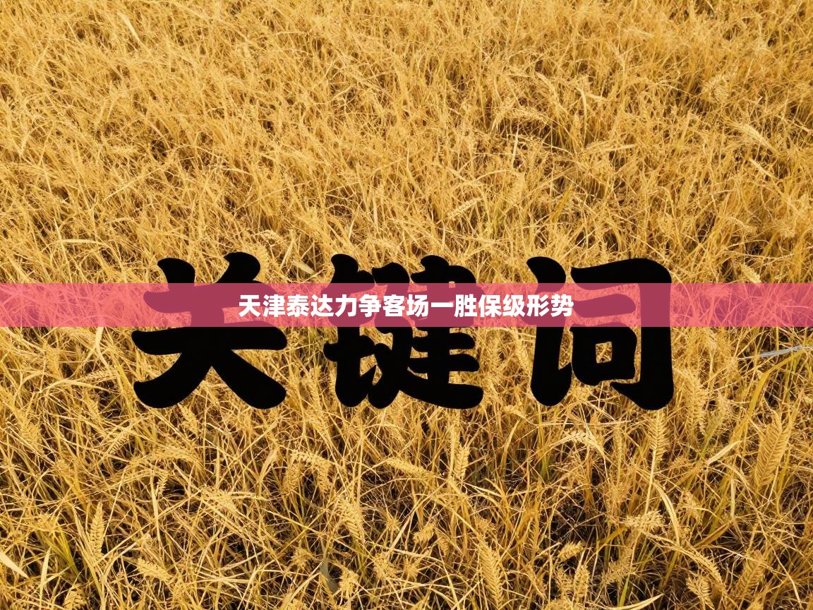 天津泰达力争客场一胜保级形势  第2张